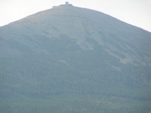 P9080132
